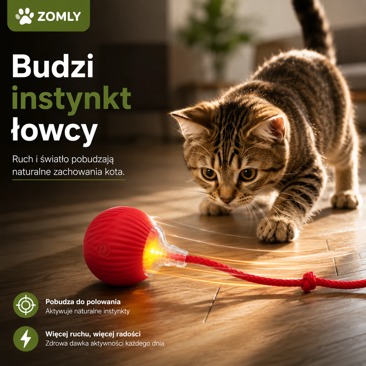 PIŁECZKA ZOMLY - Inteligentna Piłka do Zabawy dla Kota 1
